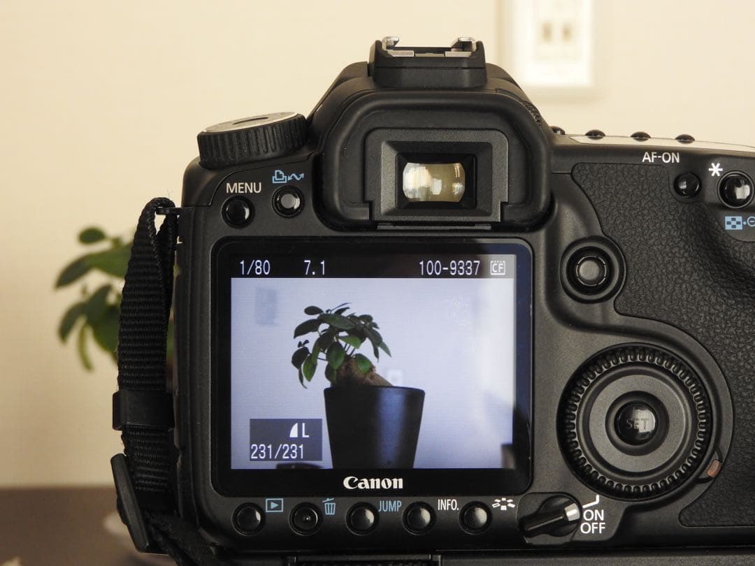 Canon EOS 40D デジタル一眼レフ BG-E2N バッテリーグリップ