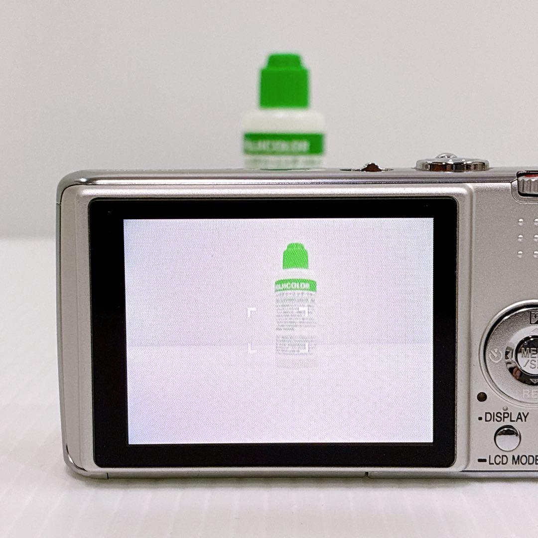 T-019【完動品 美品 SDカード付】Panasonic DMC-FX01