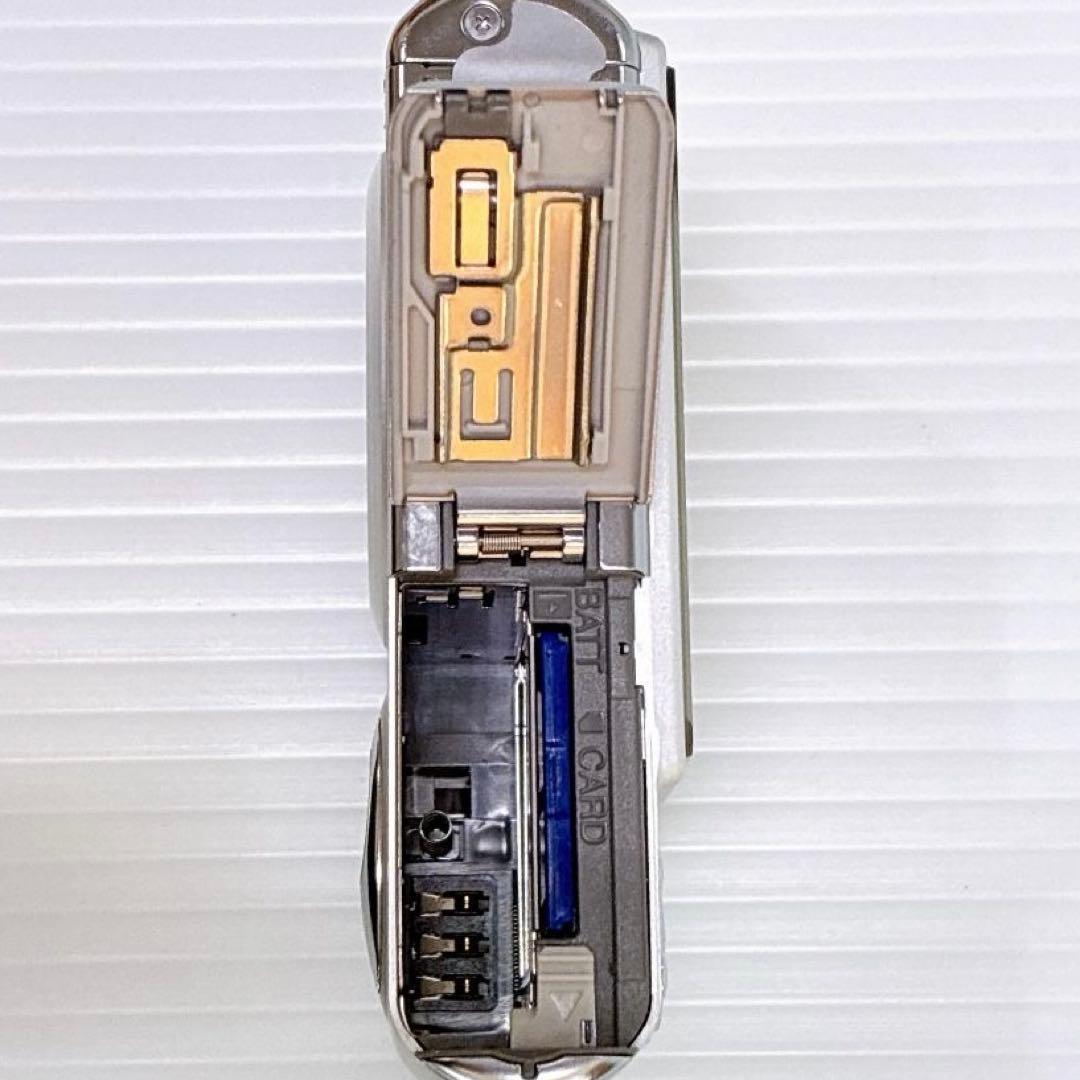 T-019【完動品 美品 SDカード付】Panasonic DMC-FX01