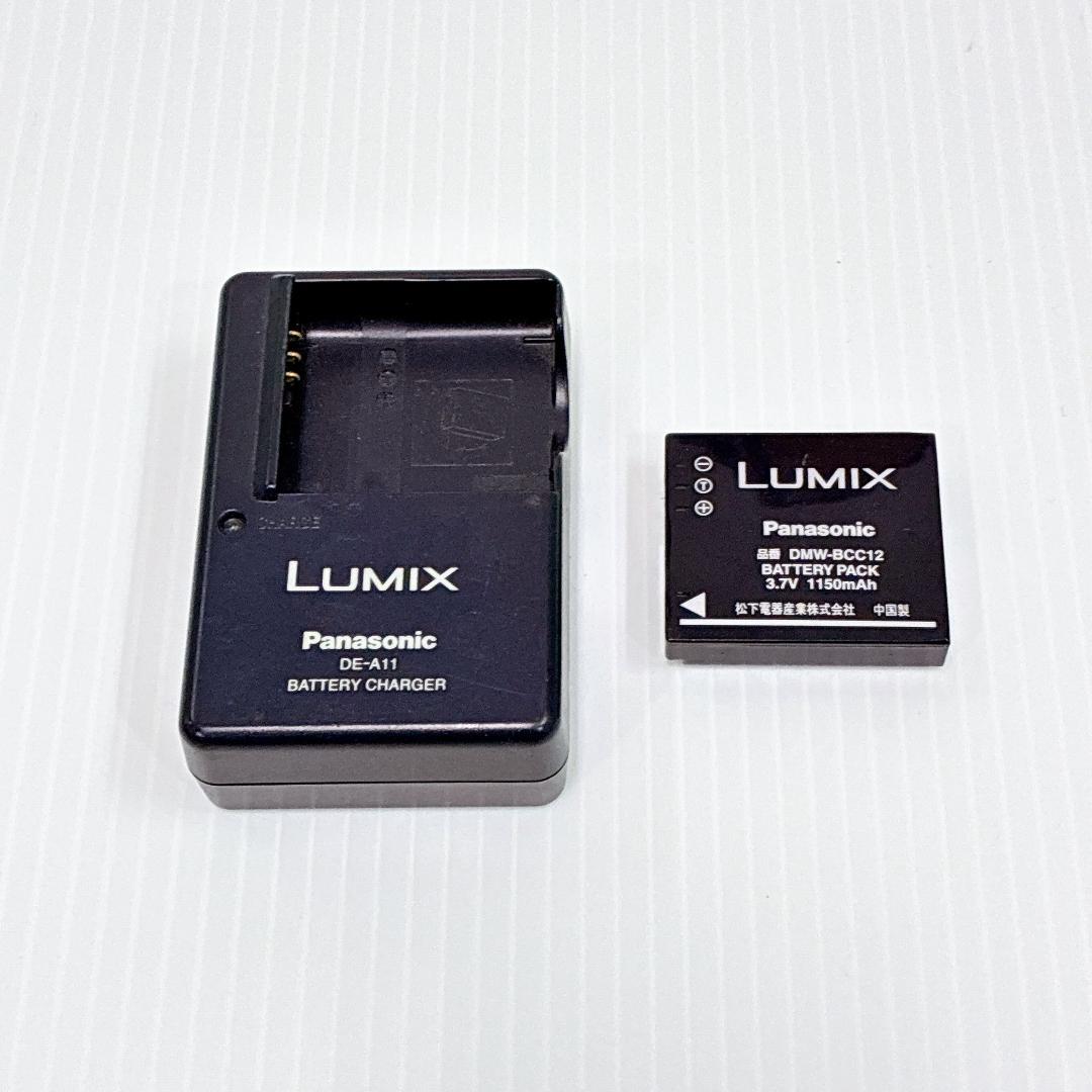 T-019【完動品 美品 SDカード付】Panasonic DMC-FX01