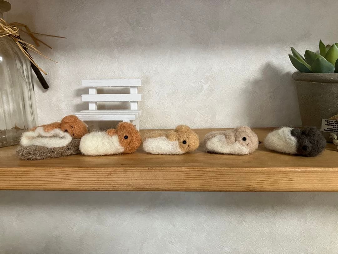 毛布を持って眠るトイプードル　オーダー見本
