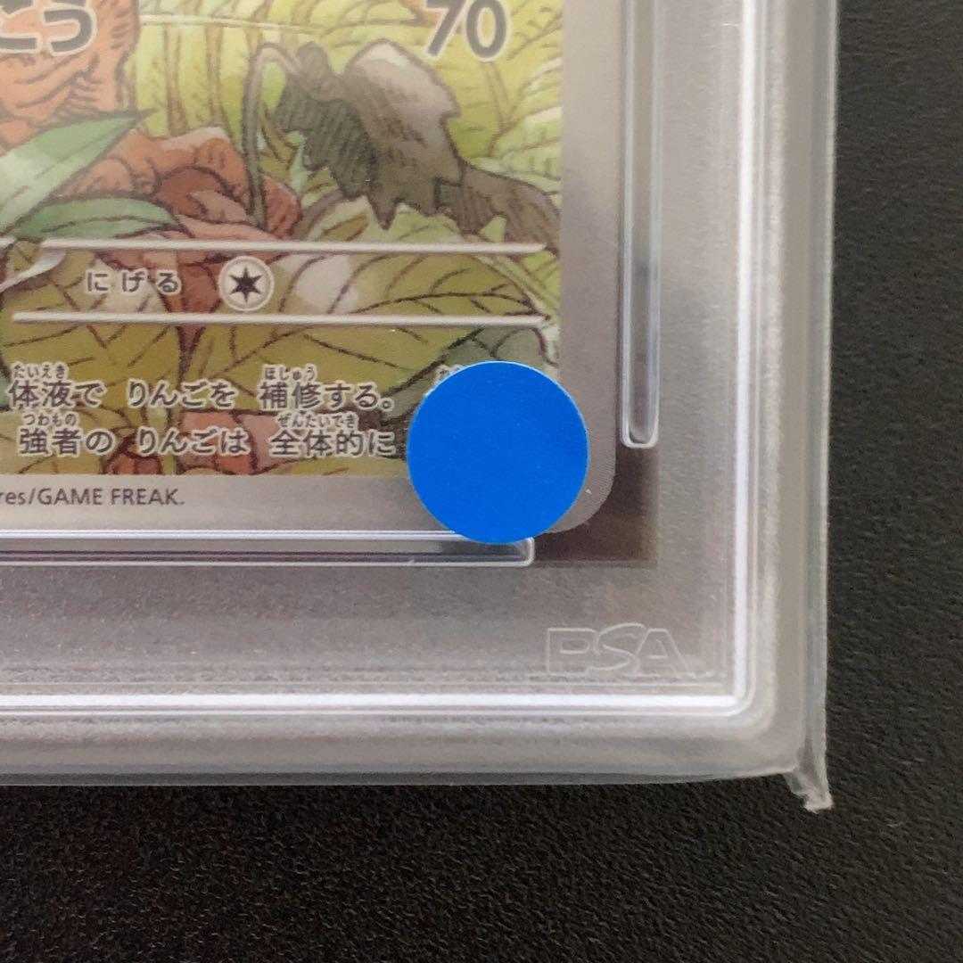 PSA10 アップリュー　074/064