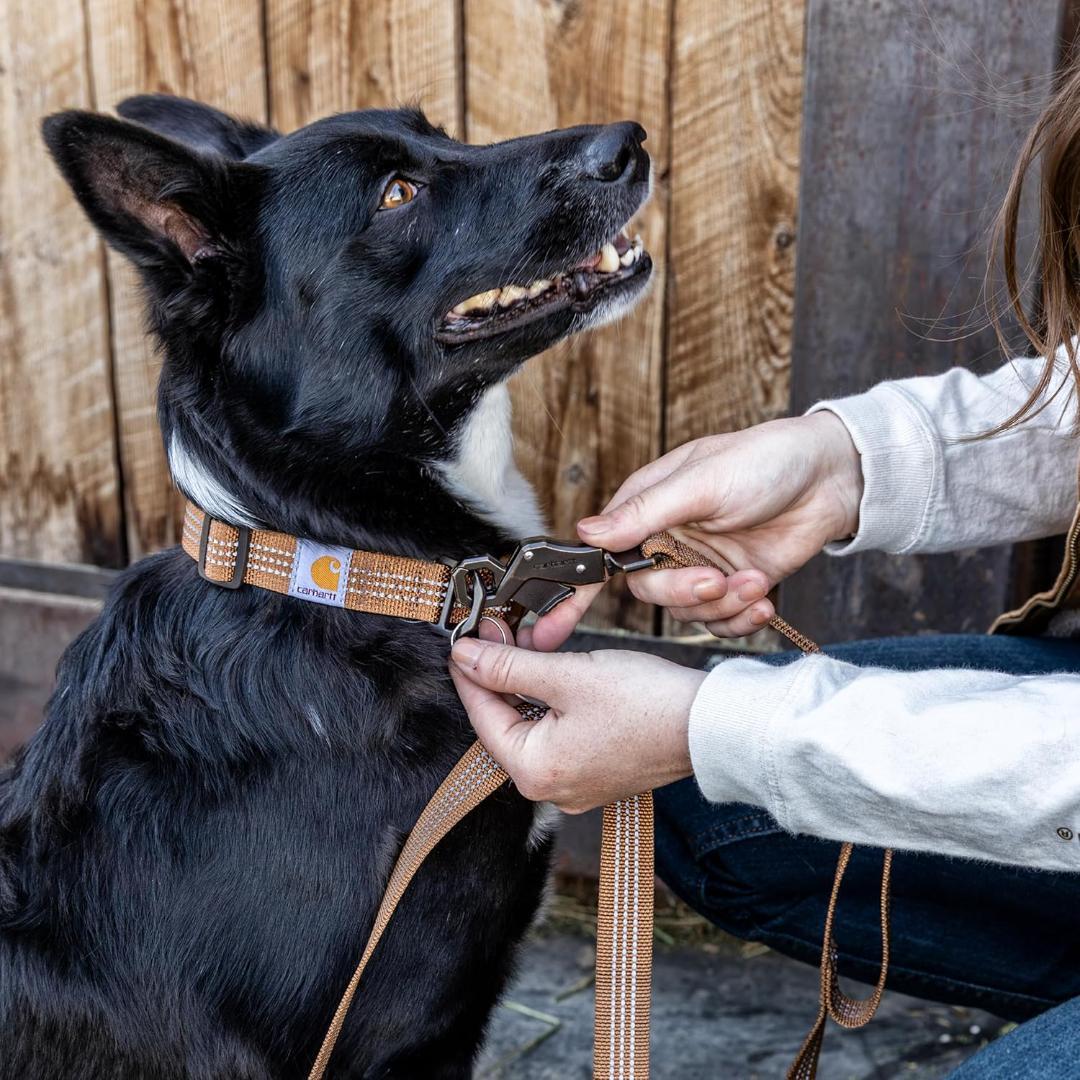 【新品】Carhartt カーハート 犬用リーシュ S カモ迷彩