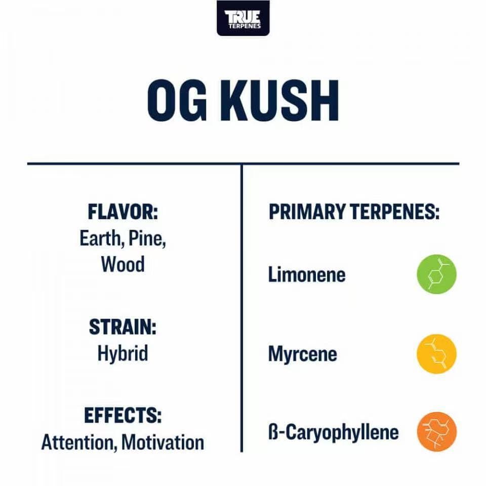 TRUE テルペン 香料 CBD CBN CBG 10ml オージークッシュ