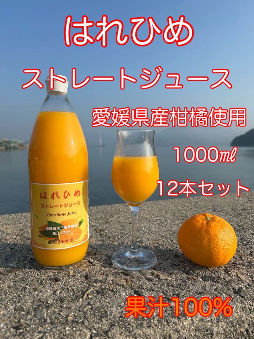 【特別価格】愛媛県大三島産 柑橘ストレートジュース100% はれひめ12本セット