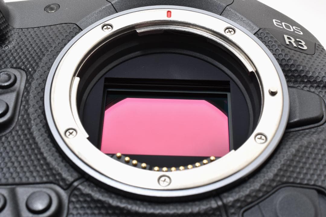 デジタルカメラ Canon EOS R3 24.1MP Mirrorless Camera