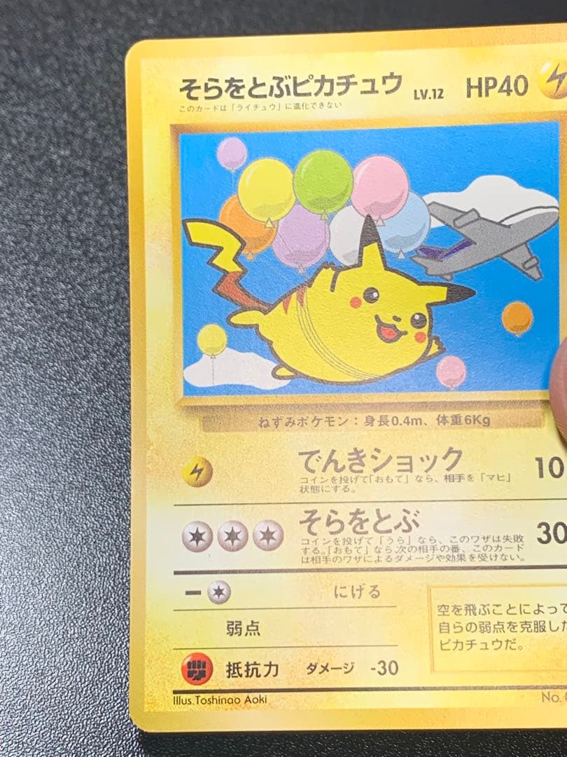 そらをとぶピカチュウ_ANA 「ジェットでゲットだ！Wチャンスキャンペーン」 …