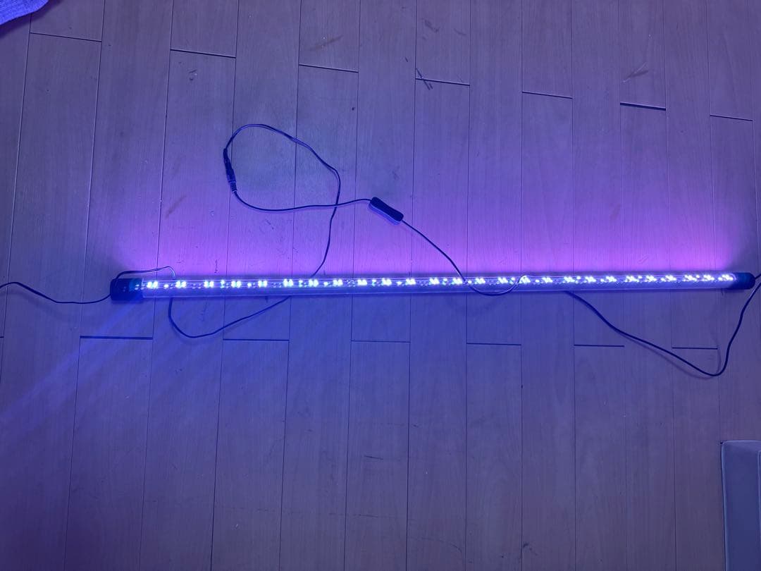 LEDライト アロワナ