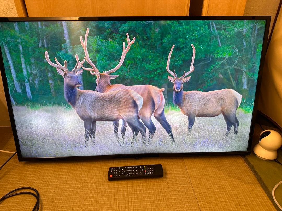 ジョワイユ 2021年製　40型 液晶テレビ SW40TVW 訳ありが視聴可能