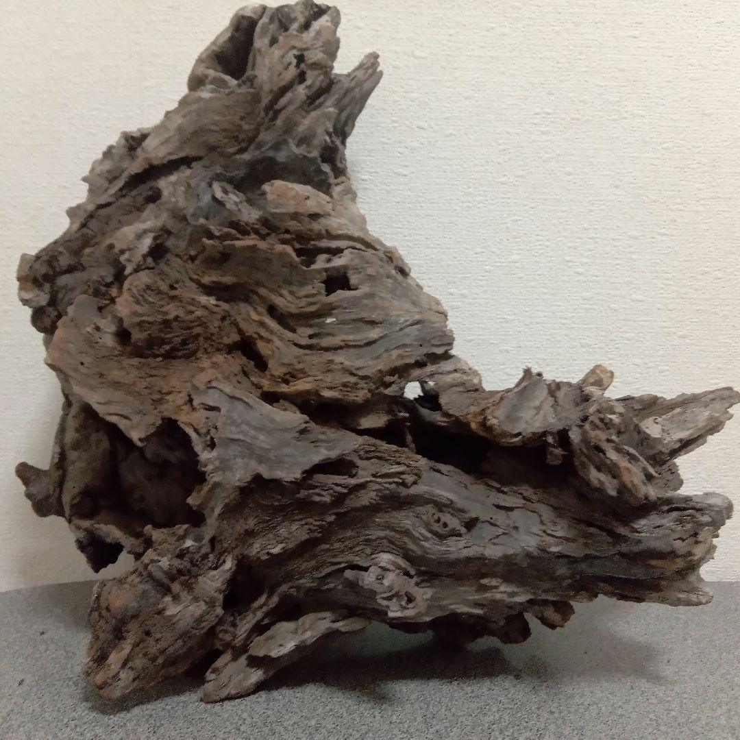40cm美形大型流木　No.314　まとめ買い割引対象商品
