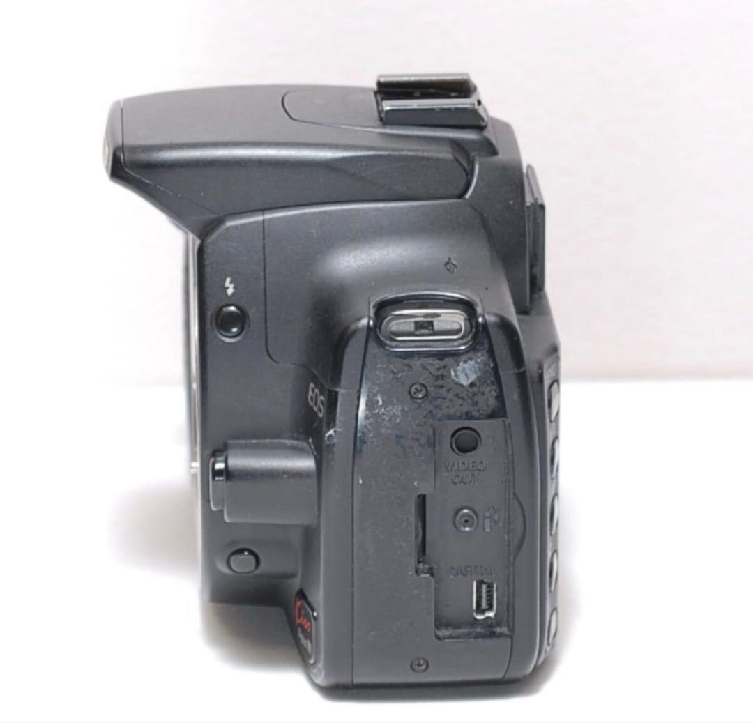 お手軽に一眼レフを始めよう✨ Canon Kiss digital N✨入門機