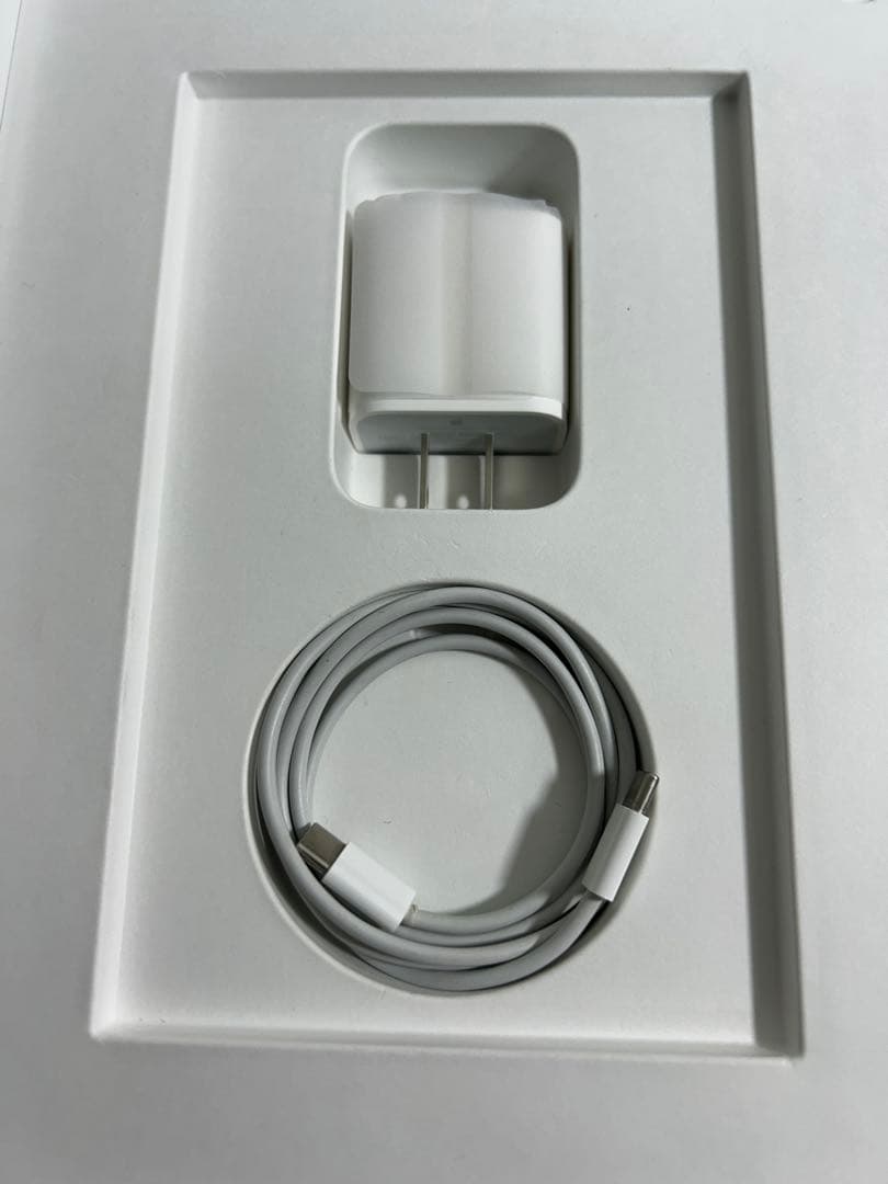 【美品】 iPad Air 10.9インチ第4世代 256GB スカイブルー