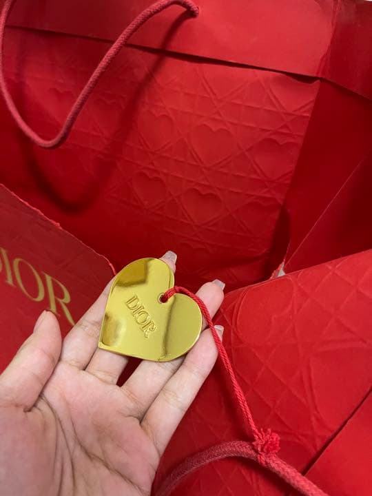 Dior 空腹 巾着