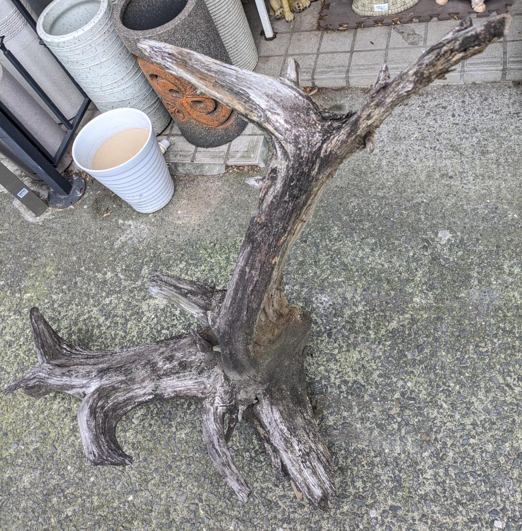 流木 幅105cm 登り木 オブジェ 観葉植物 大型 爬虫類 アクアリウム