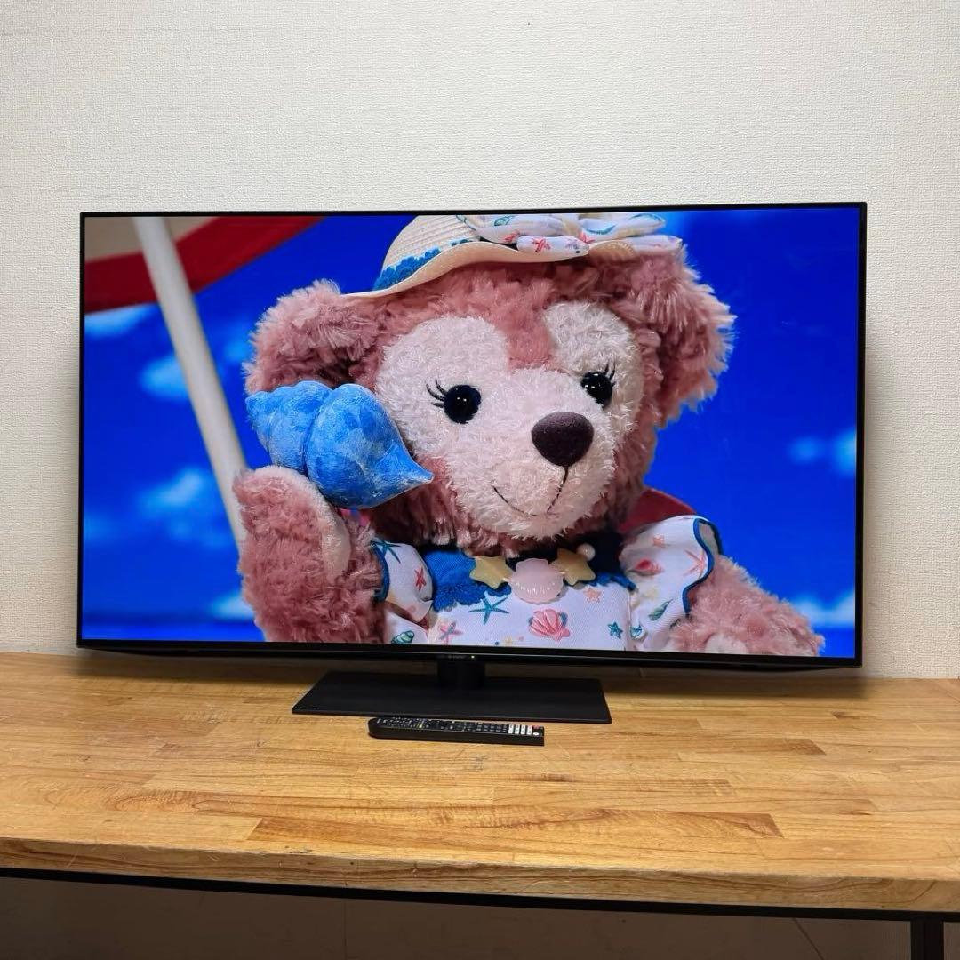 SHARP 55V型 4K 有機ELテレビ AQUOS 4T-C55DQ1