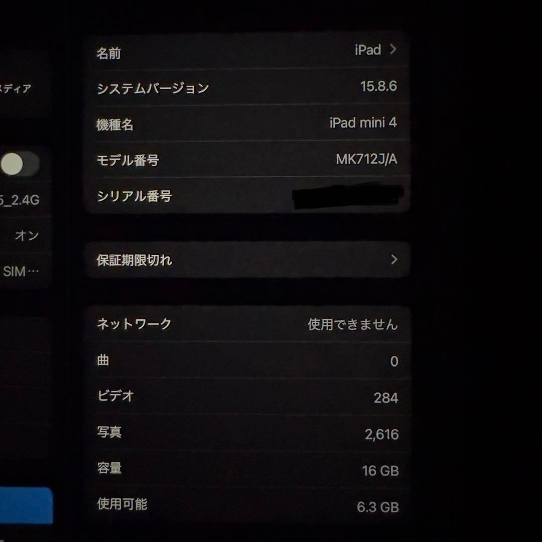 iPad mini 4 本体 ゴールド 16GB Cellularモデル ①