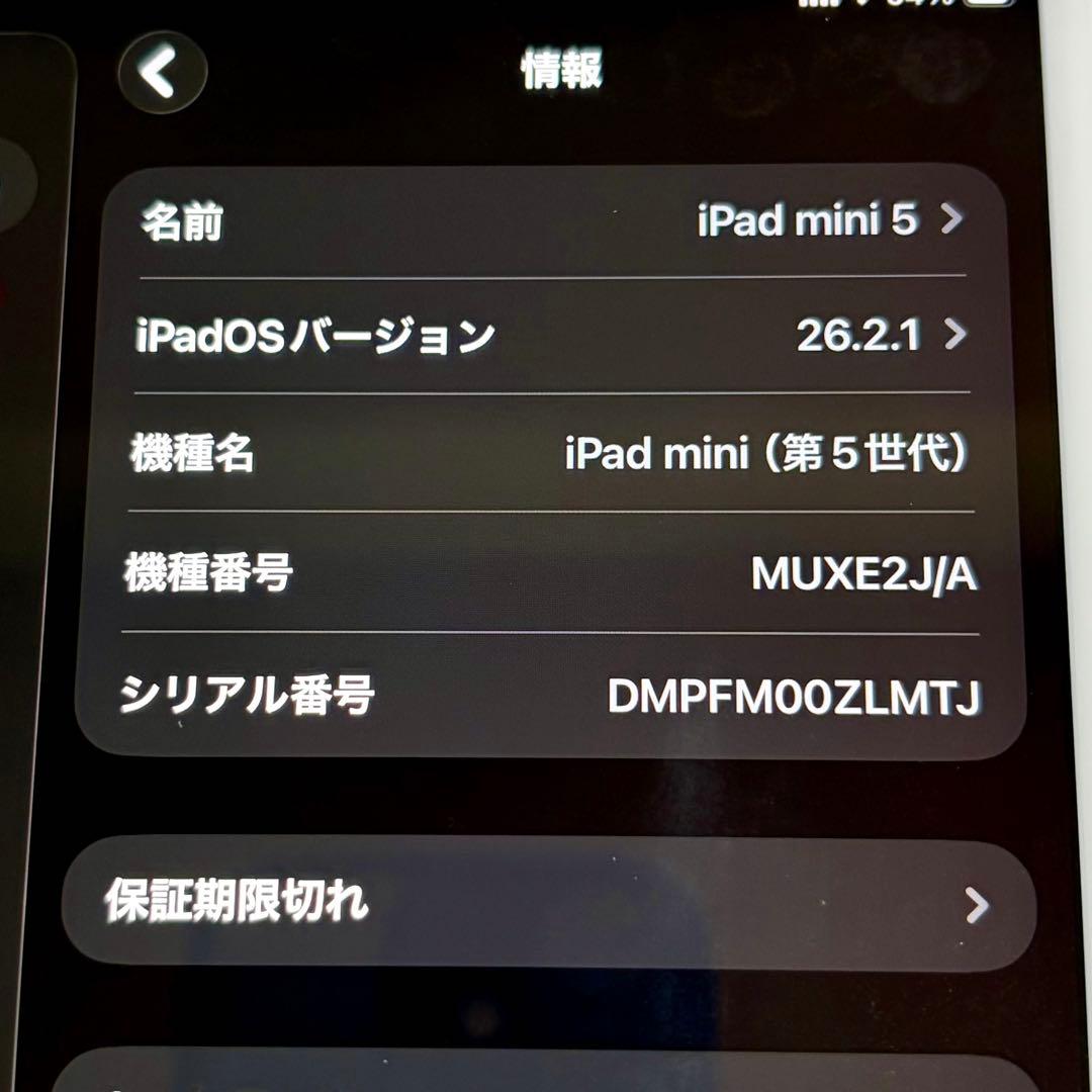 iPad本体 iPad mini5 WiFi+Cellular 256GB