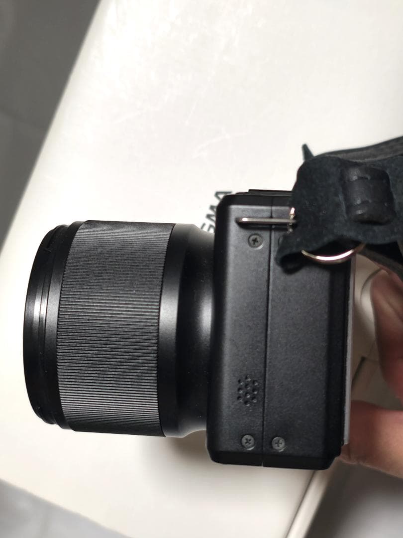 SIGMA DP3 Merrill 、純正フード、ボディースーツ 、フィルター等