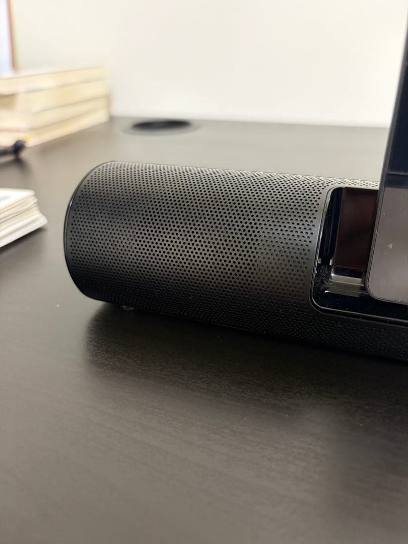 Sony ウォークマン NW-S313K 4GB