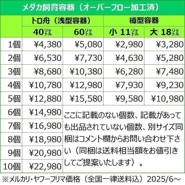 【4月値上予定】メダカ飼育ケース 60㍑トロ舟x5個 オーバーフロー 金魚飼育