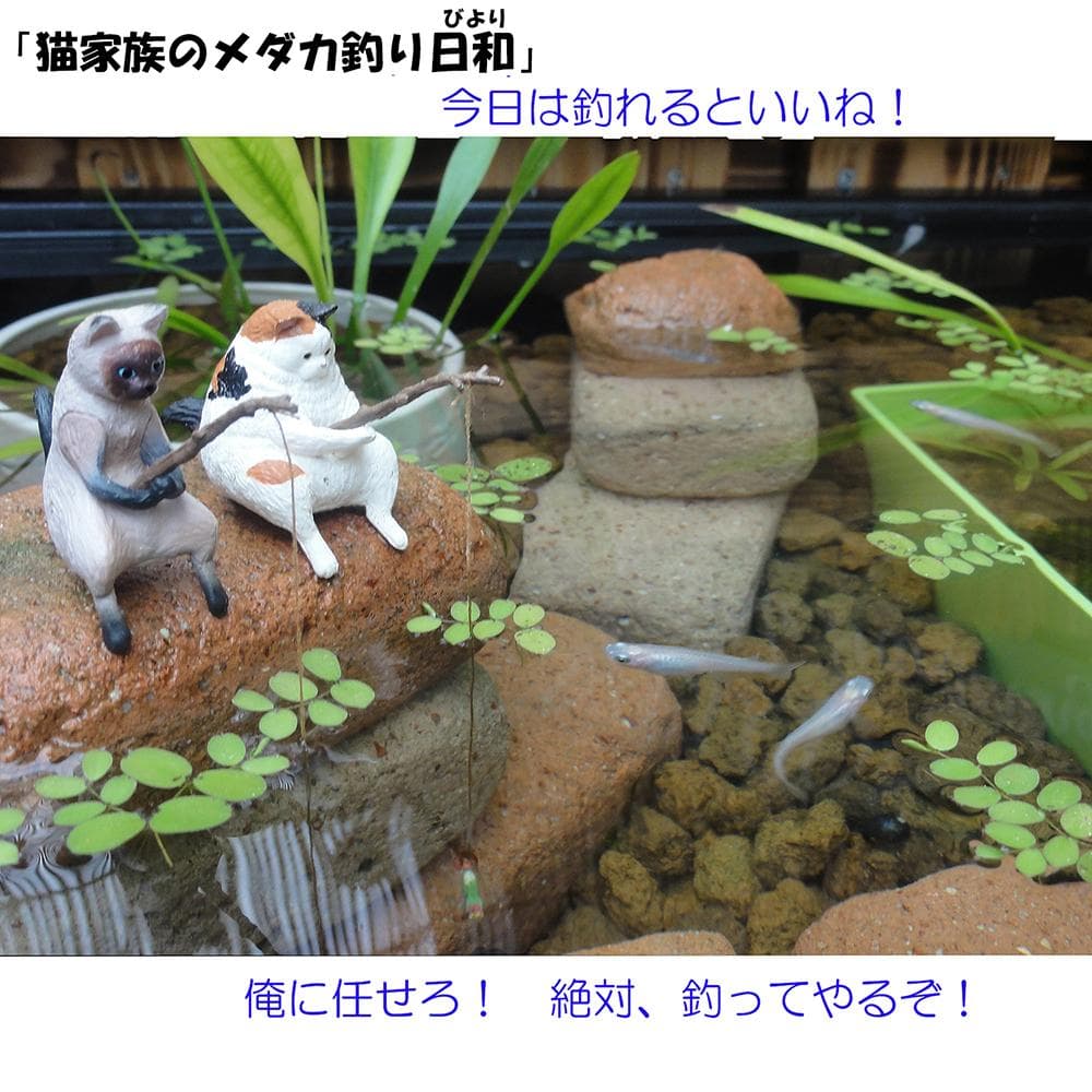 深さの有るビオトープ 120型 　トロ舟＆木枠セット（スライド式棚付き）