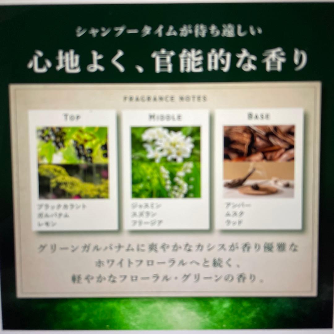 kyogoku ネイチャーブースター➕シャンプー➕トリートメント　育毛