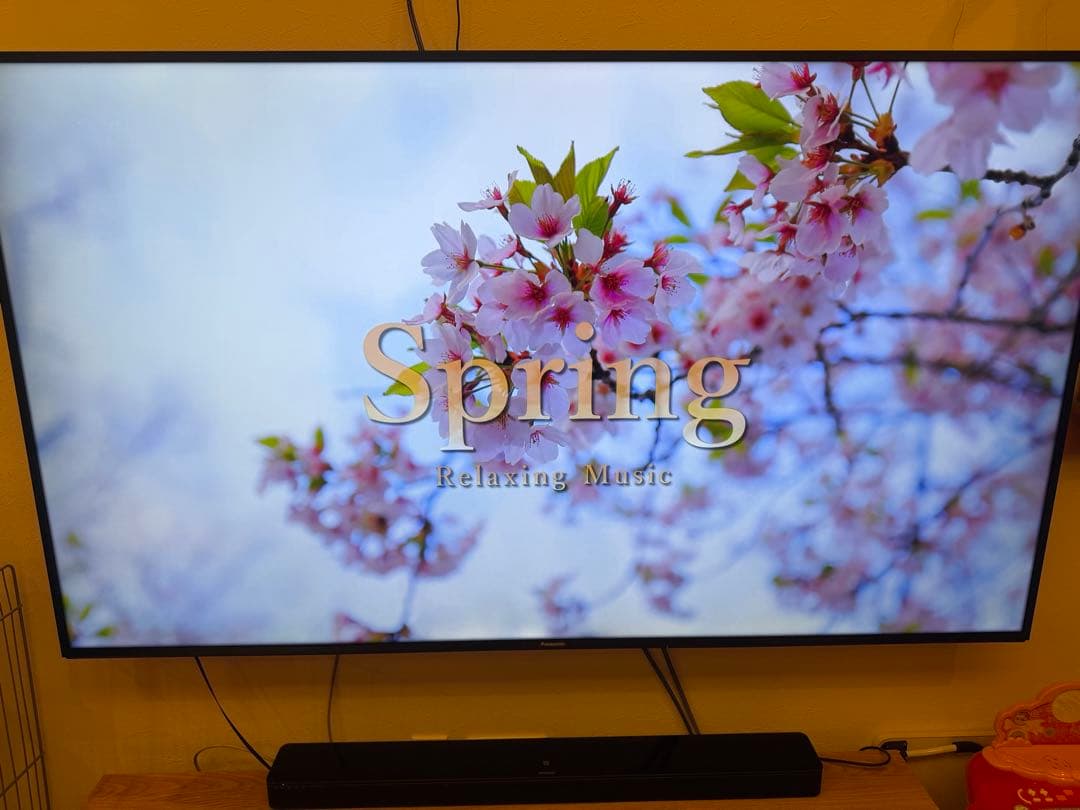 75インチ 4Kパナソニック VIERA TH-75HX900 2020年製