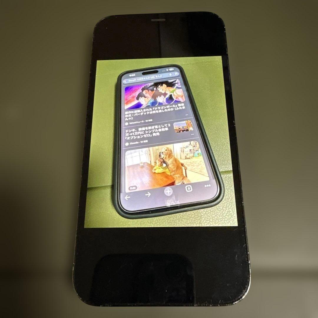iPhone 12 Pro ジャンク