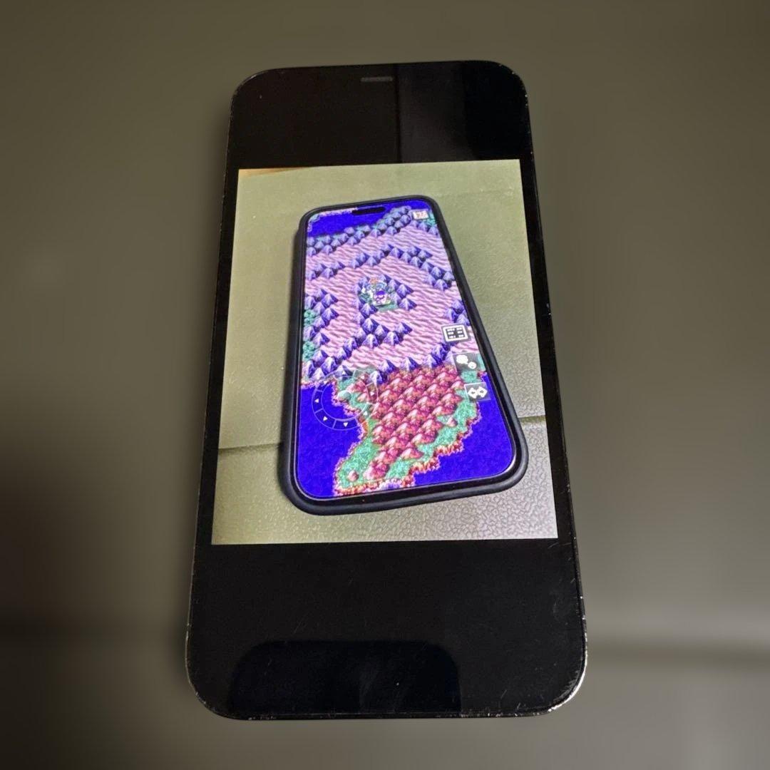iPhone 12 Pro ジャンク