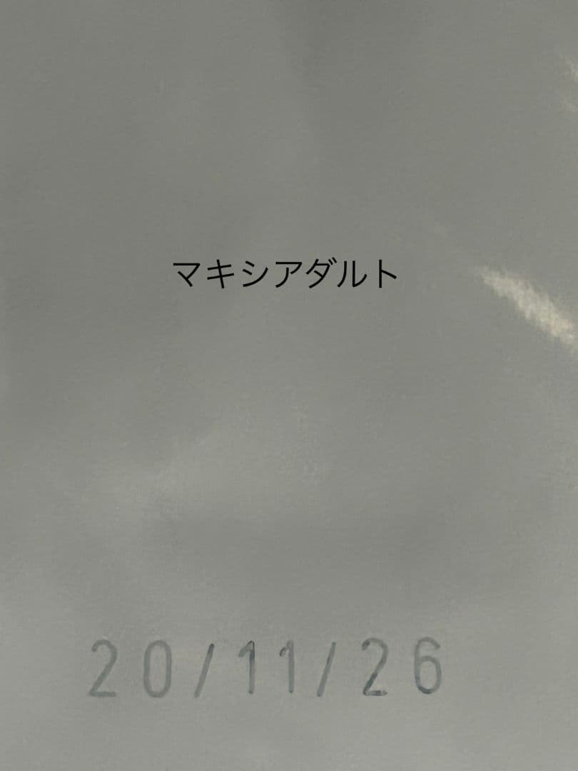  CANIN 大型犬用マキシアダルト 16kg