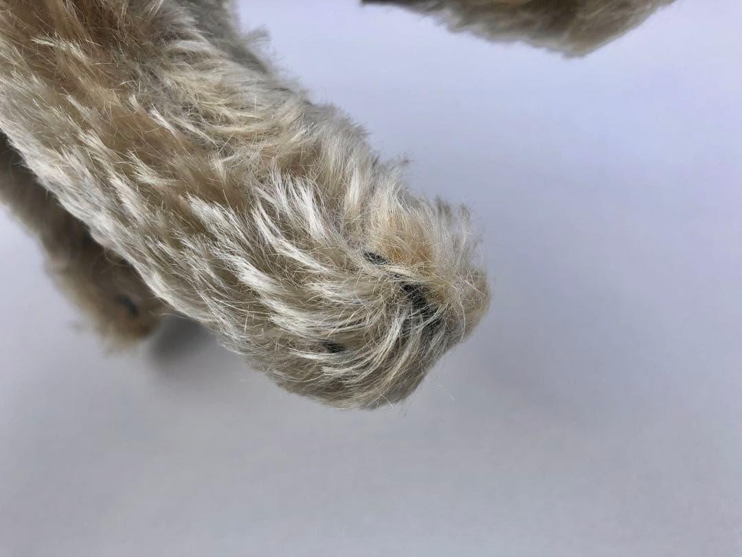 Steiff 　シュナウザーのTessi　IDあり