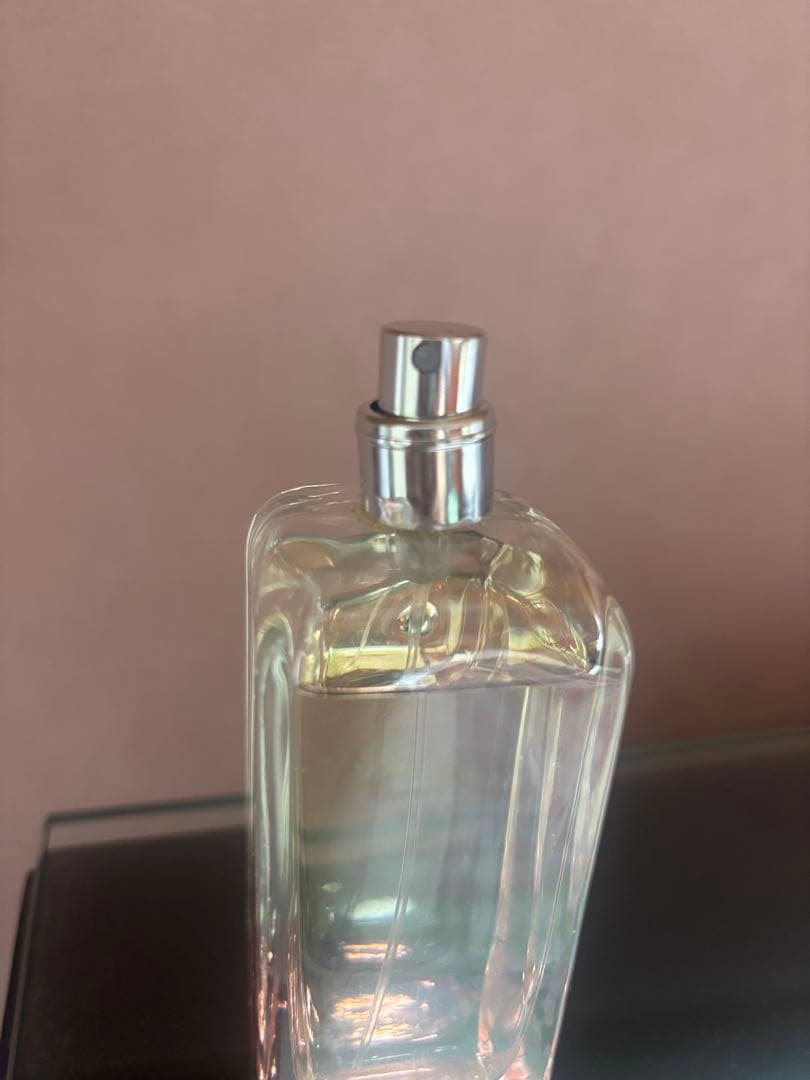 HERMES Eau de Toilette 100ml ローズイケバナ