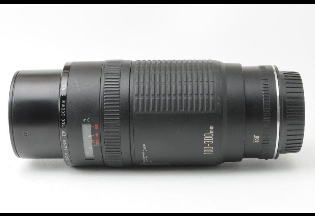 Canon EOS Kiss X5　標準レンズ ＆ 望遠レンズ100-300