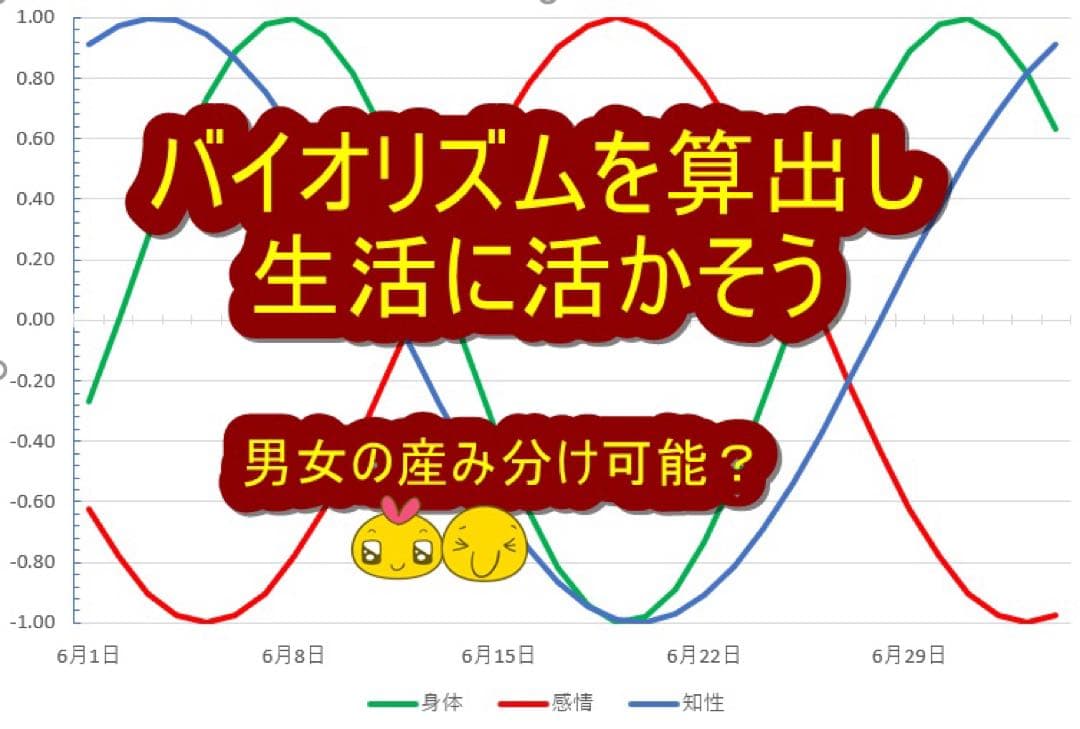 【稀少品！残り1個！】政木式バイオリズム計　工学博士　政木和三　占い　開運　健康