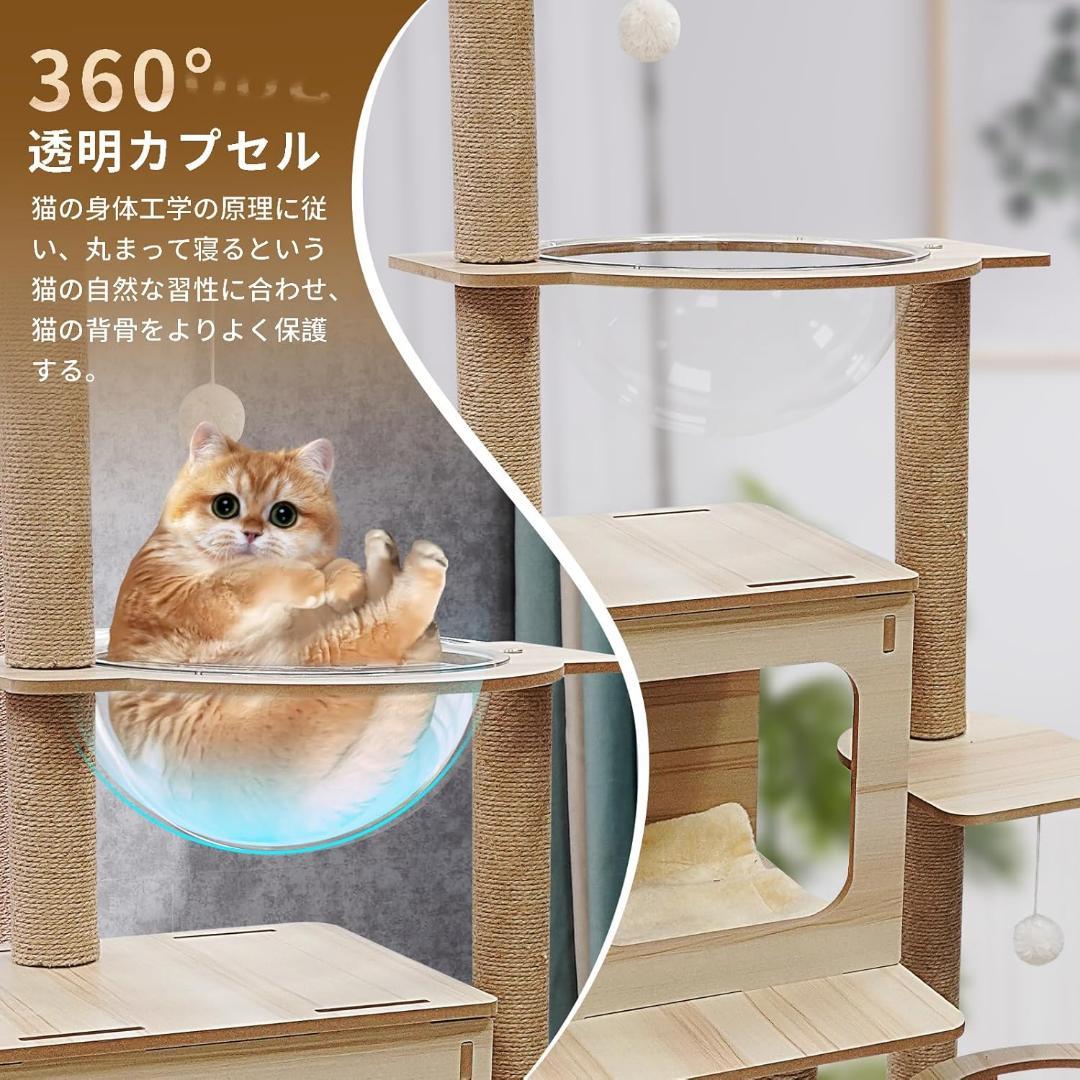 キャットタワー ハンモック 木製 スリムデザイン 大型猫用 老猫 肥満猫 多頭飼