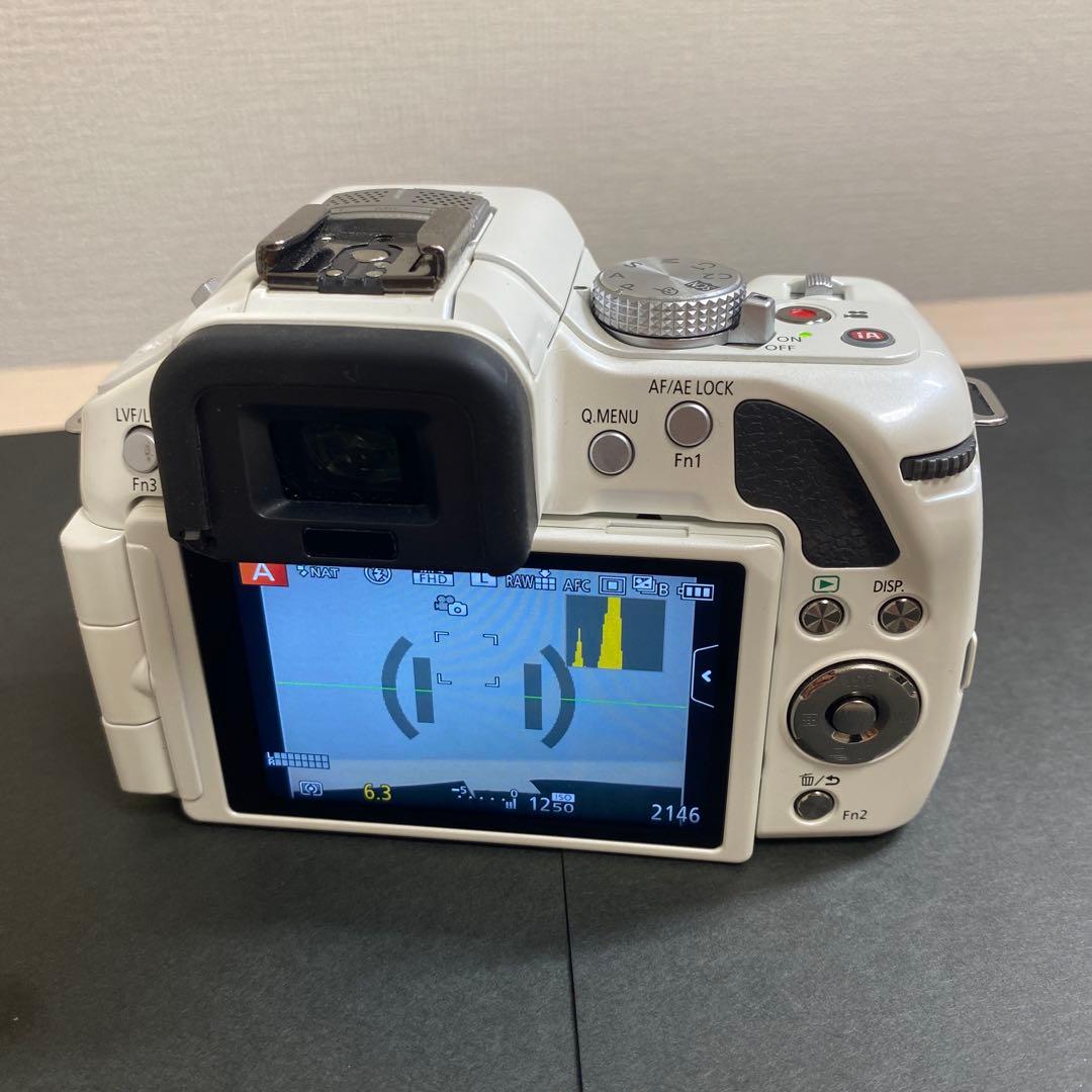 LUMIX G5 動作確認済み　SDカード/カードリーダー付属