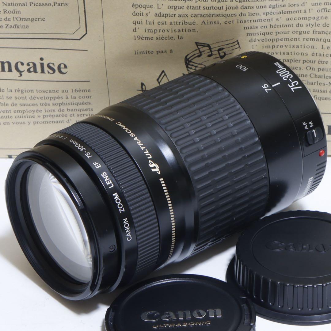 ◇超望遠&高速AF◇ Canon純正 75-300mm I型 望遠レンズ ◇