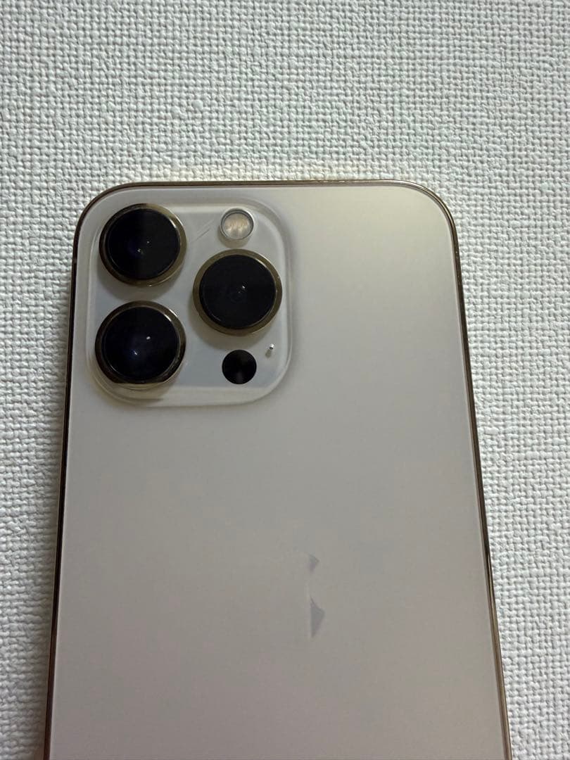 海外版シャッター音なし⭐️iPhone13pro 256GB