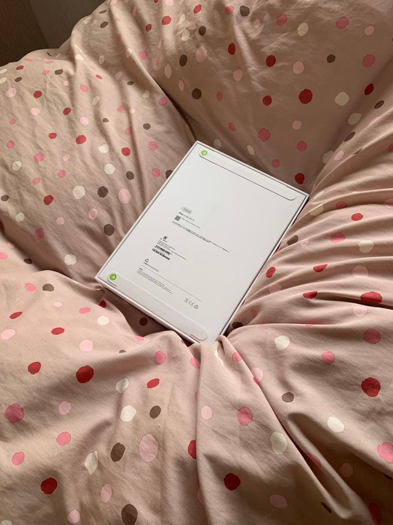 Apple iPad Wi-Fi 256GB シルバー新品未開封MD4G4J/A