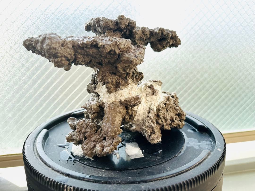 水槽用人工ライブロック自然形状接合品