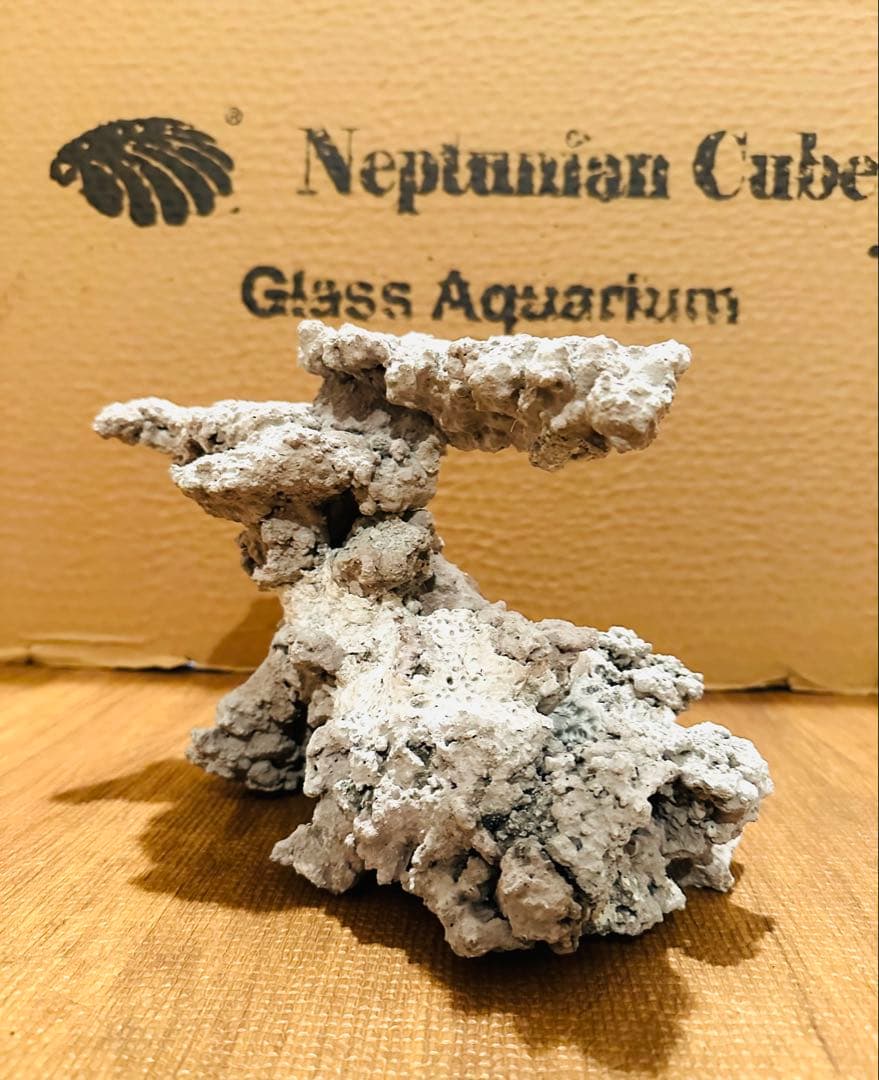 水槽用人工ライブロック自然形状接合品