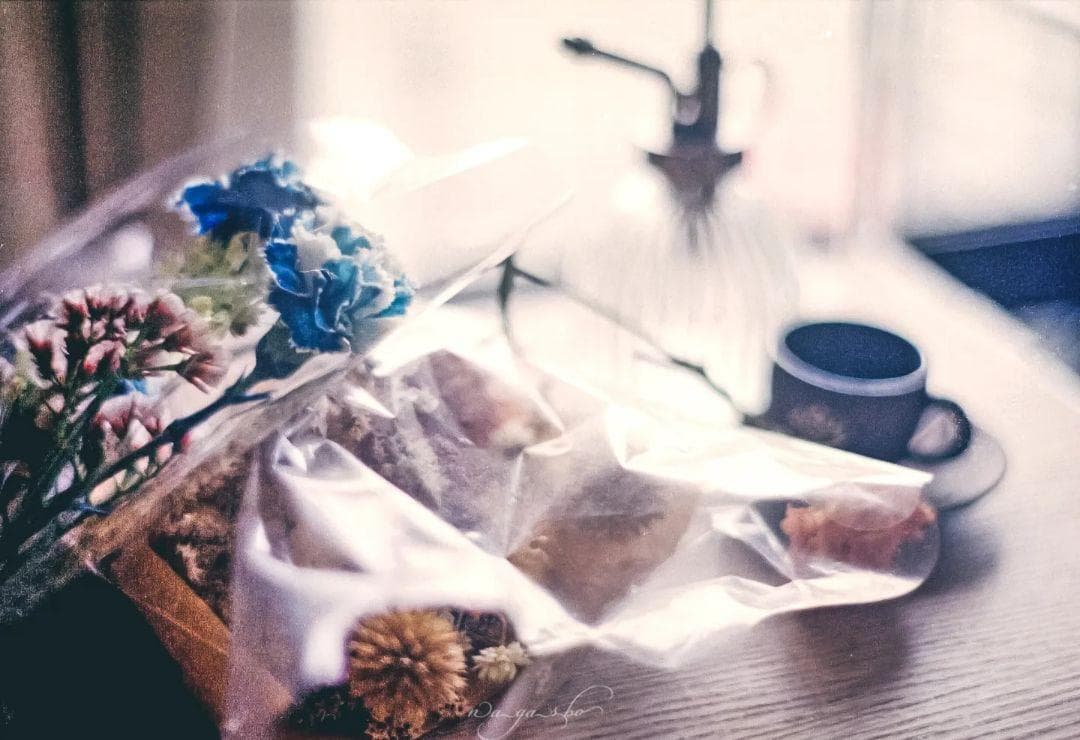 【フィルムカメラ】minolta SRT101レンズキット　2本　バラ売り可能