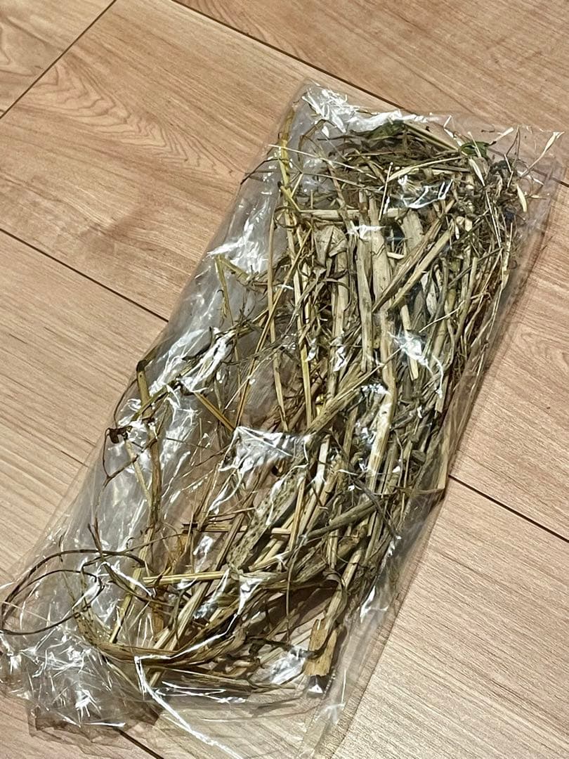 ★リアルなツバメの人工巣★壁付けタイプ未使用品★即日発送可★本家youyou作★