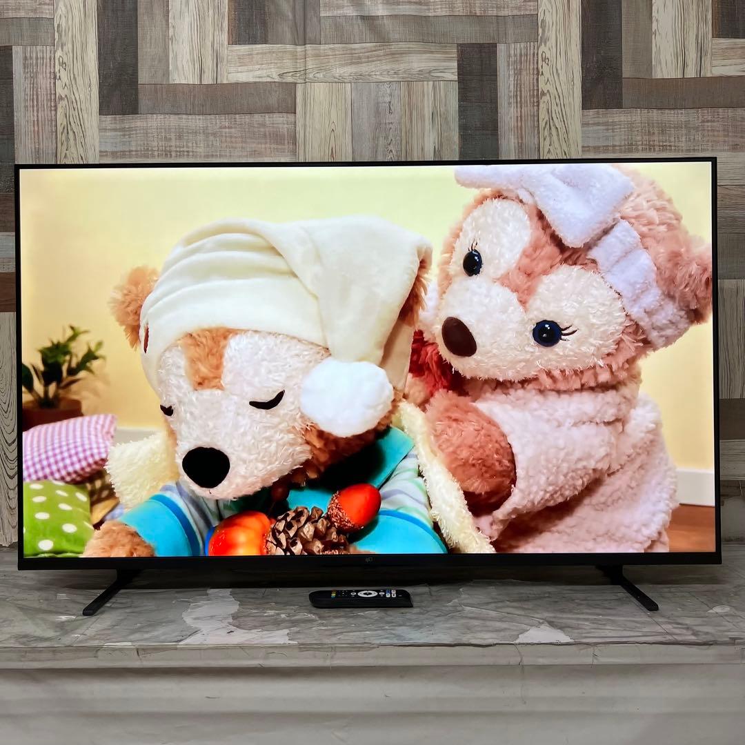 全国送料込❣️今年購入FPD 50V型 4K チューナーレス Google TV