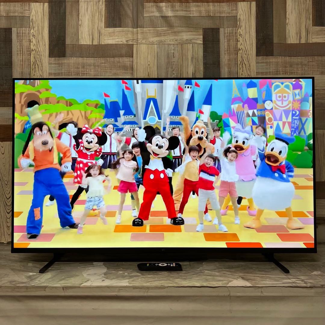 全国送料込❣️今年購入FPD 50V型 4K チューナーレス Google TV