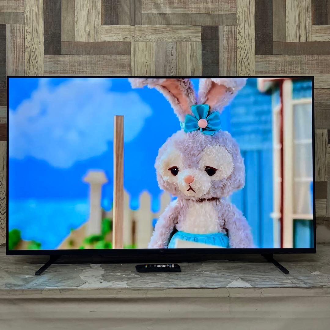 全国送料込❣️今年購入FPD 50V型 4K チューナーレス Google TV
