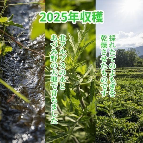 乾燥よもぎ 7g×242パック 1.7kg 大容量！ 入浴 蒸し 足湯 3