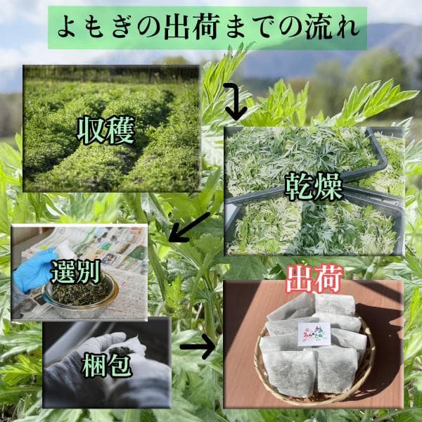 乾燥よもぎ 7g×242パック 1.7kg 大容量！ 入浴 蒸し 足湯 3