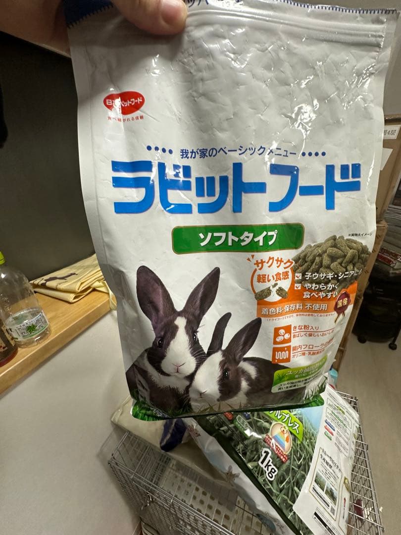 うさぎの小屋　Kojima ご縁がある方に譲る
