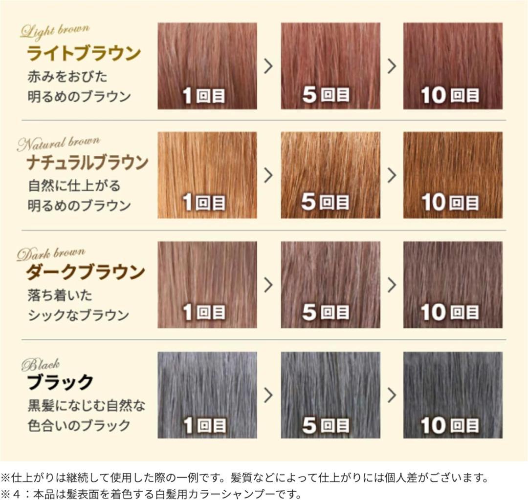 Sastty サスティ 利尻カラーシャンプー ライトブラウン 500ml×2本
